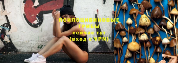 apvp Михайлов