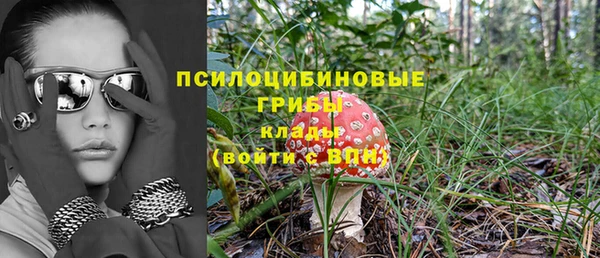 каннабис Михайловка