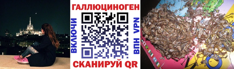 Псилоцибиновые грибы прущие грибы  Купить где  Кувшиново 